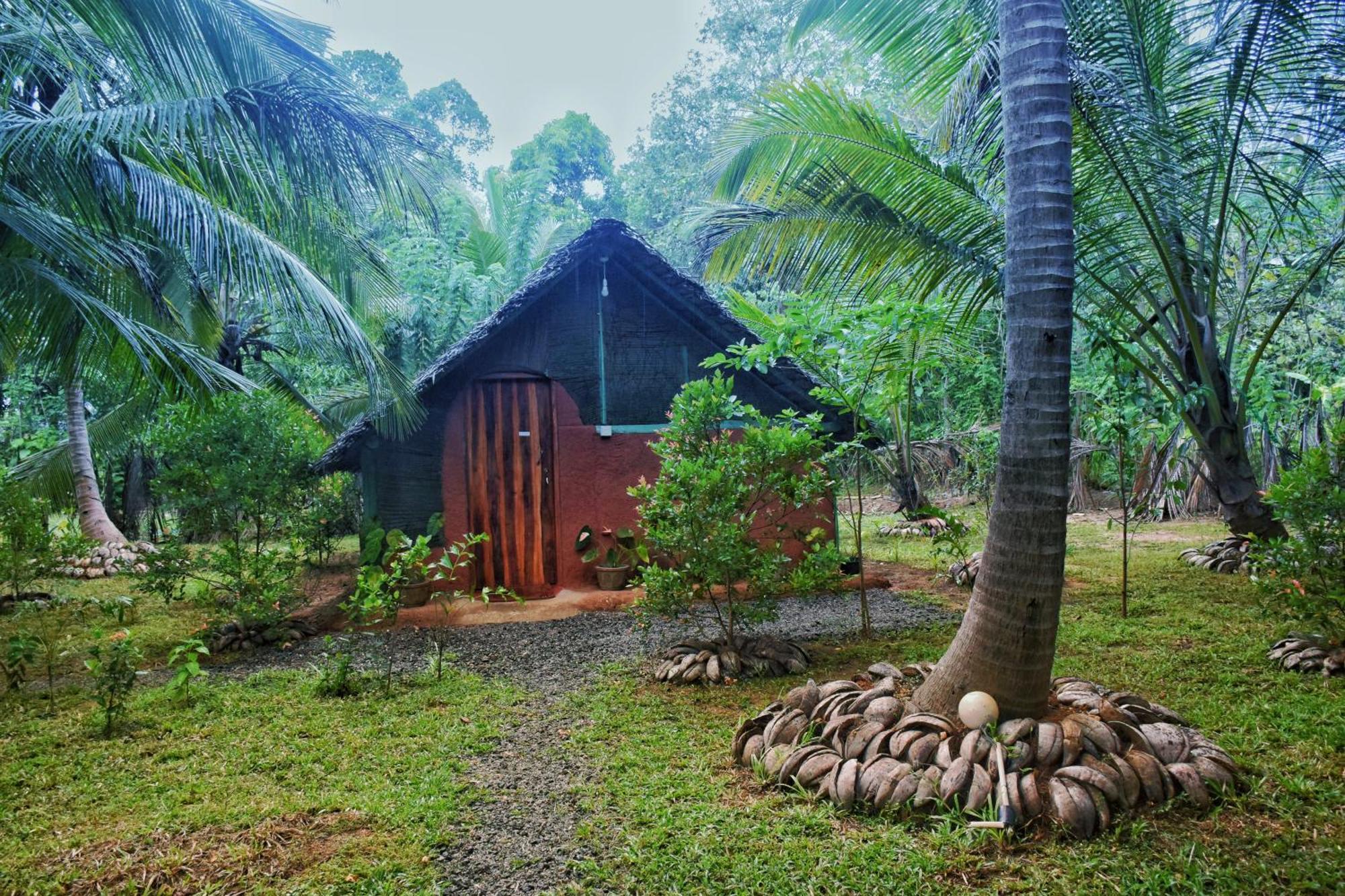 Passion Ray Villa & Tree Hut Sigiriya Camera foto